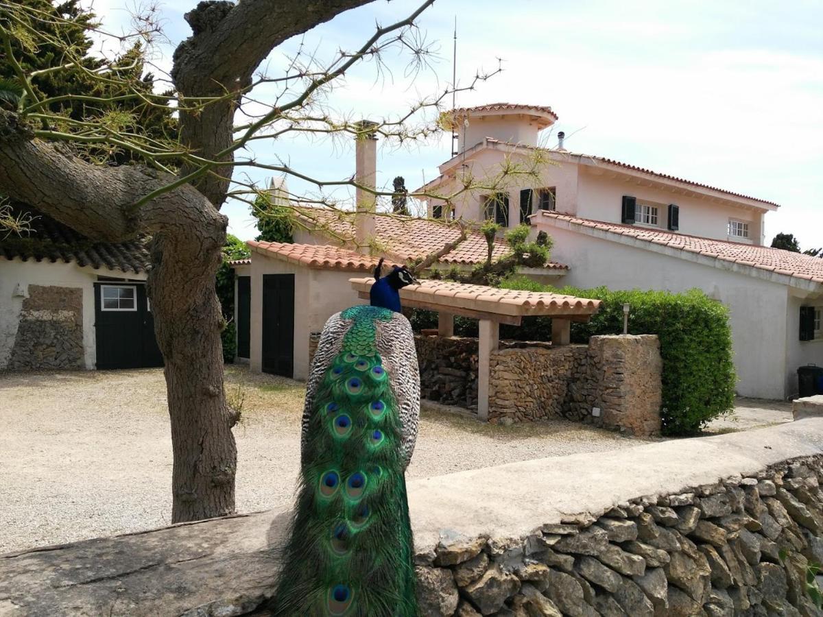 Finca Son Temet Es Mercadal Exterior foto